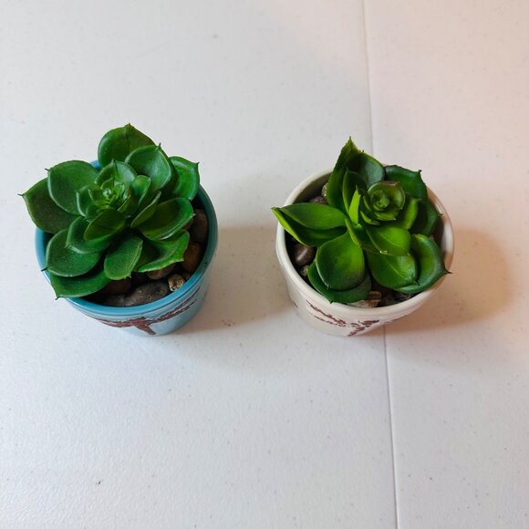 Artificial Succulent Plants In Dragonfly Pots Set Of 2 Decorative Greenery - Picture 2 of 6